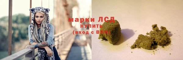 прущие грибы Липки