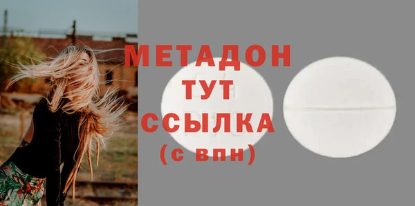 прущие грибы Липки