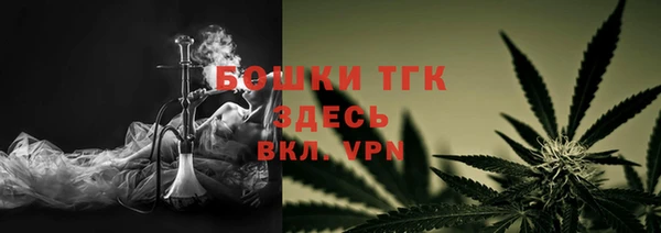 ПСИЛОЦИБИНОВЫЕ ГРИБЫ Лихославль