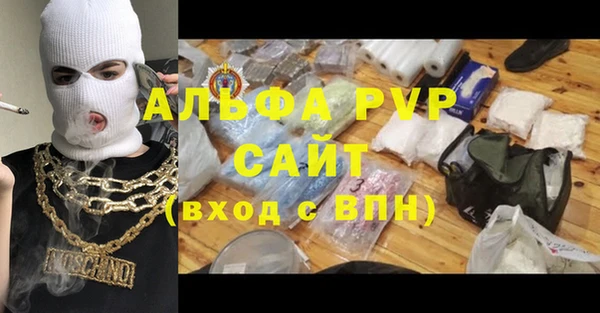 прущие грибы Липки
