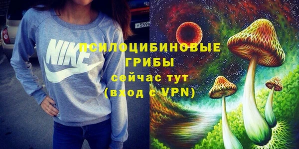 прущие грибы Липки