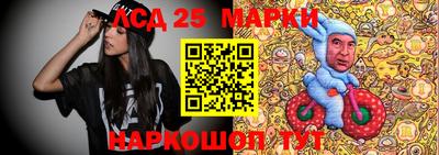 индика Партизанск