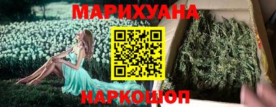 индика Партизанск
