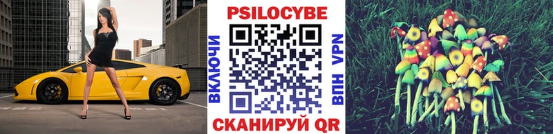 где купить наркотик  Михайловка  Галлюциногенные грибы Psilocybe 