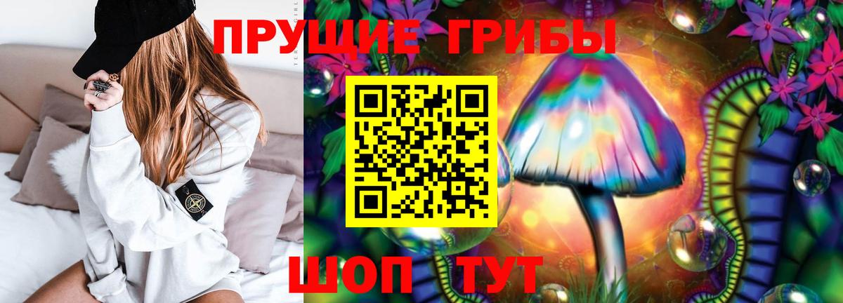 Михайловка  Галлюциногенные грибы MAGIC MUSHROOMS  Вход с VPN  Галлюциногенные грибы мицелий 